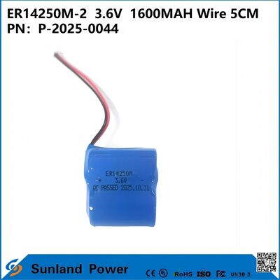 ER14250M-23.6V1600MAH แบตเตอรี่แบบมีสาย 5CM ใช้ในมิเตอร์อัจฉริยะ เครื่องมืออัตโนมัติ อุปกรณ์ทางการแพทย์ อุปกรณ์สื่อสารไร้สาย ระบบเตือนภัยการโจรกรรม อิเล็กทรอนิกส์ยานยนต์ อินเทอร์เน็ตของสรรพสิ่ง